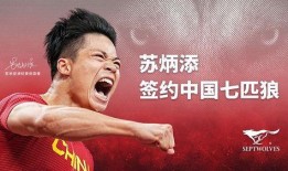 七匹狼在线观看,热血江湖，兄弟情深，在线重温传奇岁月