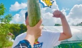 吃瓜的搞笑网红是谁啊,揭秘网络笑星的瓜田传奇