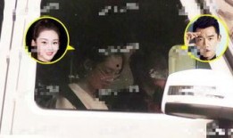 郑恺爆料宝强视频在线观看,独家爆料引网友热议