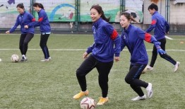 足球爆料最新事件,最新爆料揭示惊天转会内幕