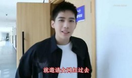 网友爆料王安宇视频,网友热议背后的故事