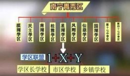 广西教育爆料最新消息