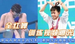 最新水花爆料视频大全集,揭秘娱乐圈幕后风云