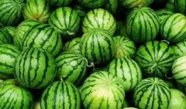 来个吃瓜免费群,揭秘网络社交新潮流