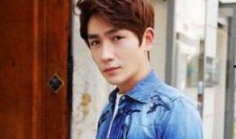 朱一龙最近爆料视频,独家爆料背后的故事与感悟