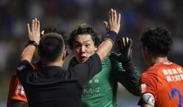 王大雷爆料足协视频全集,内幕曝光，精彩瞬间回顾