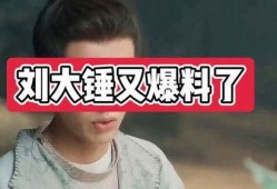 刘大锤爆料抒情视频,情感波涛下的真实心声