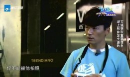 郑恺爆料宝强视频在线观看,独家爆料引网友热议