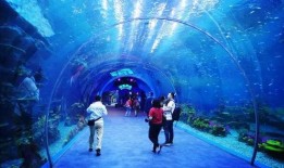 海洋最新爆料视频大全集,最新爆料视频大全集精彩回顾