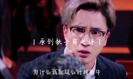 黄牛爆料薛之谦视频完整版,薛之谦视频完整版幕后真相大揭秘