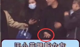 新爆料汪小菲视频播放,揭秘背后惊人真相