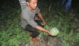 农村姑娘吃网红瓜图片,新鲜体验引发热议