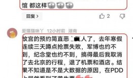 如何爆料今日关注,深度剖析如何有效爆料关注焦点