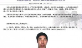 爆料全网通缉犯名单最新,揭秘犯罪分子身份与作案手法