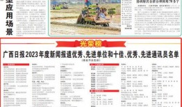 横栏最新爆料新闻报道