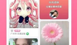 狮子山爆料视频最新版下载,揭秘事件真相，下载观看