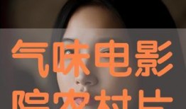 味道在线观看免费,免费在线探索全球美食风味