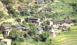 箐箐草在线观看,在线观看，探寻神秘草本的奇幻之旅