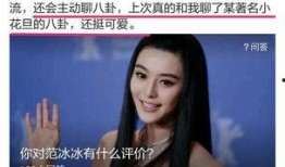 爆料范冰冰完整版视频,揭秘娱乐圈风云人物的真实一面