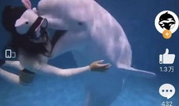 海洋最新爆料视频大全集,最新爆料视频大全集精彩回顾