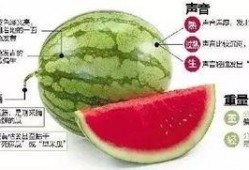 连云港网红吃瓜群微信,揭秘网络社交圈的趣味与热议