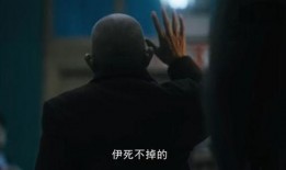 龙叔死后爆料视频播放,独家爆料视频背后的惊人真相