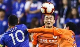 王大雷爆料足协视频全集,内幕曝光，精彩瞬间回顾