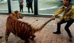 美国饲养员爆料新闻视频,视频曝光惊人内幕