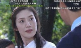 伪装夫妇在线观看,甜蜜陷阱下的爱情揭秘