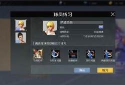 刘练技能爆料视频,揭秘神秘技能背后的奥秘