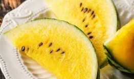 东北网红吃瓜是谁,网络红人的崛起与影响力