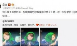 袁立微博爆料完整视频,揭秘事件真相与幕后黑幕