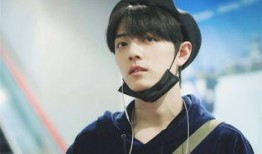 肖战最新消息爆料,揭秘近期热点事件背后的真相