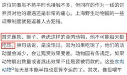 石家庄员工爆料事件视频,揭露企业内幕引发社会关注