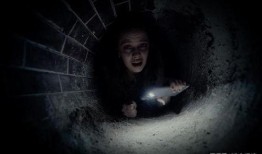 恐怖影视在线观看,恐怖影视在线观看指南