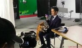 网友爆料胡歌视频在线观看,在线观看引发热议