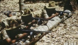澳军暴行爆料视频大全,血腥画面揭露战争残酷真相