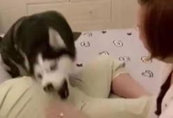 哈哥爆料了谁的视频啊,神秘视频主角是谁？