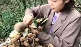 农村姑娘吃网红瓜图片,新鲜体验引发热议