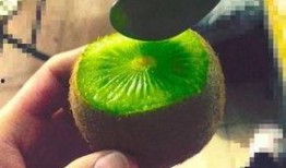 抖音吃瓜千万网红,揭秘千万网红背后的故事