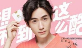 朱一龙最近爆料视频,独家爆料背后的故事与感悟