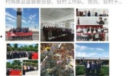 资讯新闻爆料怎么写内容,深度解析幕后真相