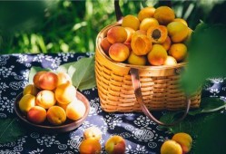 百果园爆料视频大全集,揭秘水果界的秘密与奇闻