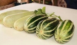 免费吃网红瓜,揭秘网络红人的幕后故事