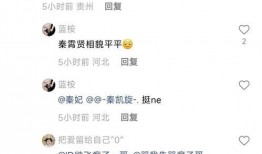 网友爆料王安宇视频,网友热议背后的故事