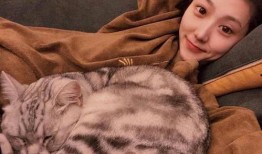 娱乐吃瓜君网红虐猫,娱乐吃瓜君引发社会关注与谴责