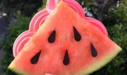 免费吃网红瓜,揭秘网络红人的幕后故事